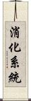 消化系統 Scroll