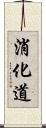 消化道 Scroll