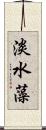 淡水藻 Scroll