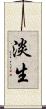淡生 Scroll