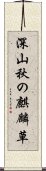 深山秋の麒麟草 Scroll