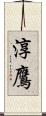 淳鷹 Scroll