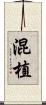 混植 Scroll
