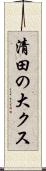清田の大クス Scroll
