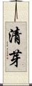 清芽 Scroll