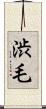 渋毛 Scroll