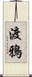 渡鴉 Scroll