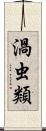 渦虫類 Scroll
