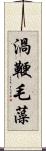 渦鞭毛藻 Scroll