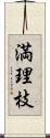 満理枝 Scroll