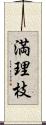 満理枝 Scroll