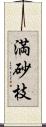 満砂枝 Scroll