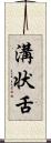 溝状舌 Scroll