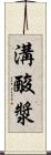 溝酸漿 Scroll