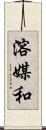溶媒和 Scroll