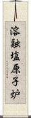 溶融塩原子炉 Scroll