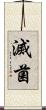 滅菌 Scroll