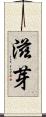 滋芽 Scroll