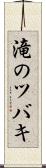 滝のツバキ Scroll
