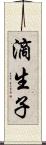 滴生子 Scroll