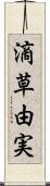 滴草由実 Scroll