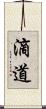 滴道 Scroll