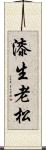 漆生老松 Scroll