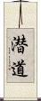 潜道 Scroll