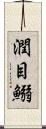 潤目鰯 Scroll