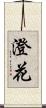 澄花 Scroll