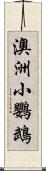 澳洲小鸚鵡 Scroll