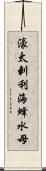 濠太剌利海蜂水母 Scroll