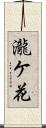 瀧ケ花 Scroll
