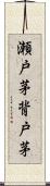 瀬戸茅 Scroll