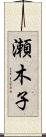 瀬木子 Scroll