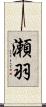 瀬羽 Scroll