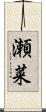 瀬菜 Scroll
