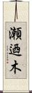 瀬迺木 Scroll