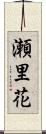 瀬里花 Scroll