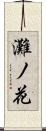 灘ノ花 Scroll