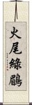 火尾綠鶥 Scroll