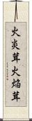 火炎茸 Scroll
