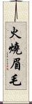 火燒眉毛 Scroll