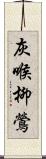 灰喉柳鶯 Scroll