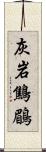 灰岩鷦鶥 Scroll