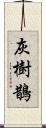 灰樹鵲 Scroll