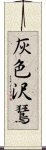 灰色沢鵟 Scroll