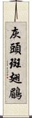 灰頭斑翅鶥 Scroll