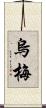 烏梅 Scroll