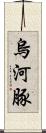 烏河豚 Scroll